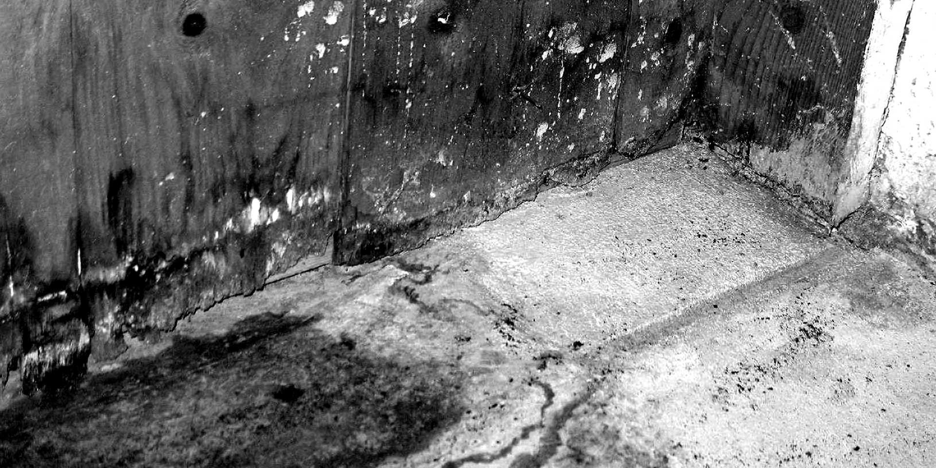 BLACK MOLD REMEDIATION SERVICES | Emergency Restoration Services